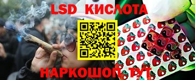 СК Бугуруслан