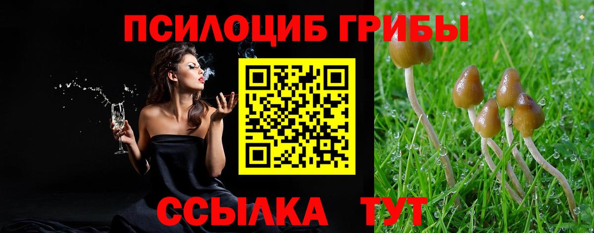 Галлюциногенные грибы мухоморы  Вход с VPN  Котлас 