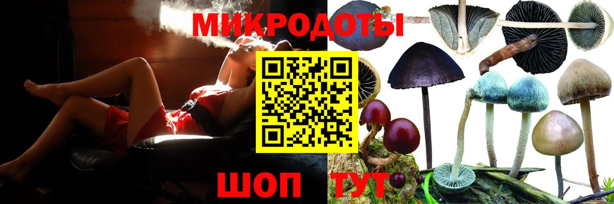 Псилоцибиновые грибы прущие грибы Котлас